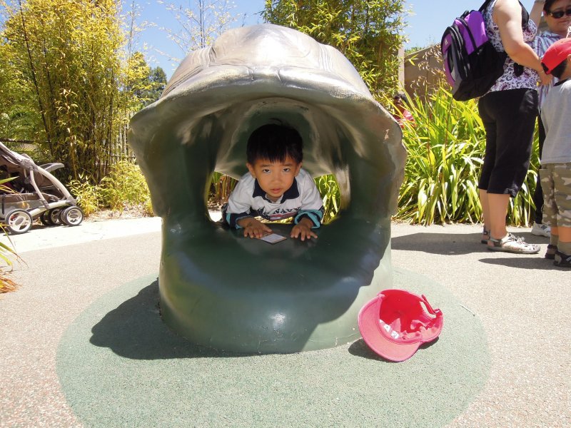 DSCN5375.JPG