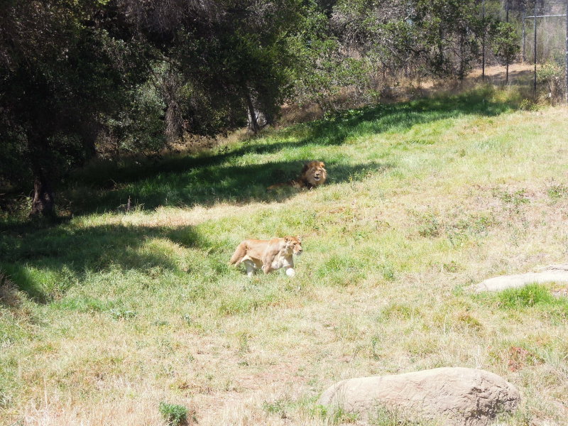 DSCN5415.JPG