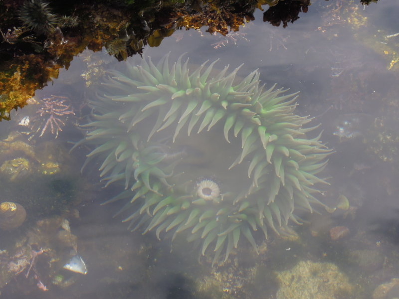 DSCN5467.JPG