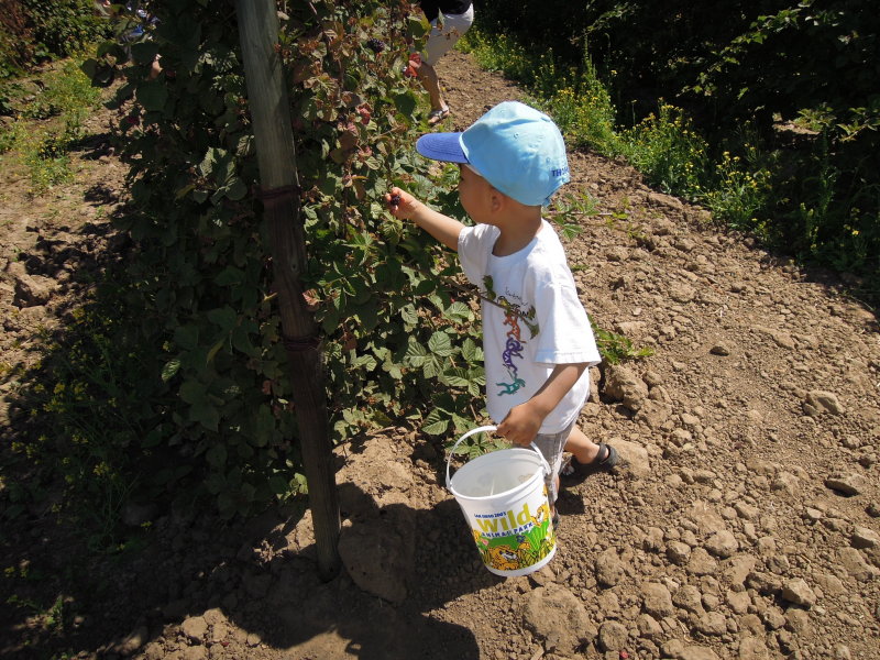 DSCN5679.JPG