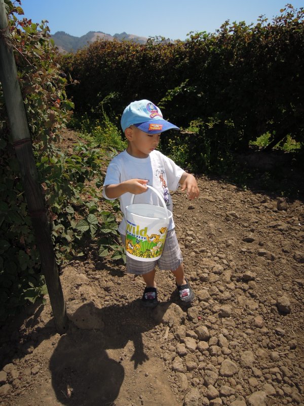 DSCN5680.JPG