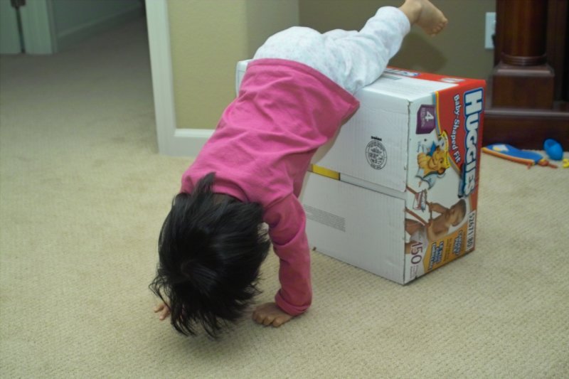 IMG04587.jpg