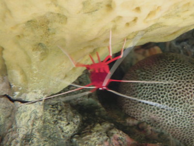 DSCN3436.JPG