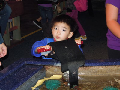 DSCN3465.JPG