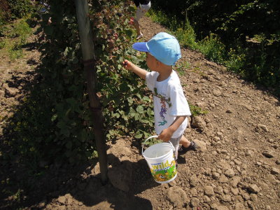 DSCN5679.JPG