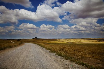 negev_42011