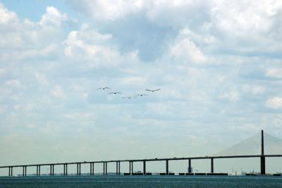 Fort DeSoto 037