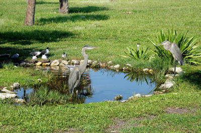 Fort DeSoto 338.jpg