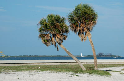 Fort DeSoto 363.jpg