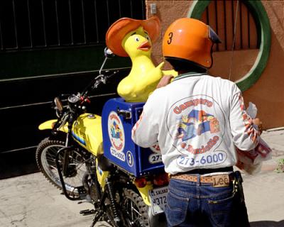 Chickenman