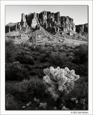 Cactus Country - Saguaro N.P. & Superstition Wilderness