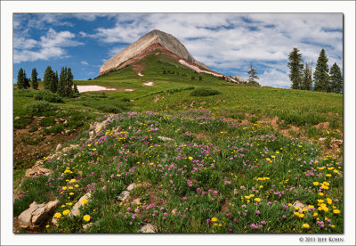Alpine Meadow, Engineer Mountain, San Juan National Forest, Colorado, 2011