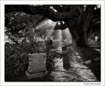 Untitled #13, Glenwood Cemetery, Houston