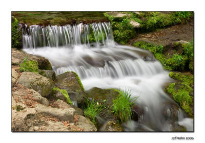 Fern Spring