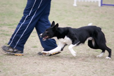 54-DSC09883.jpg