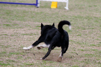 55-DSC09886.jpg