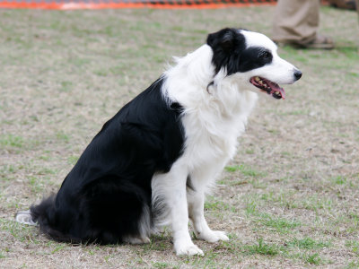 81-DSC00089.jpg