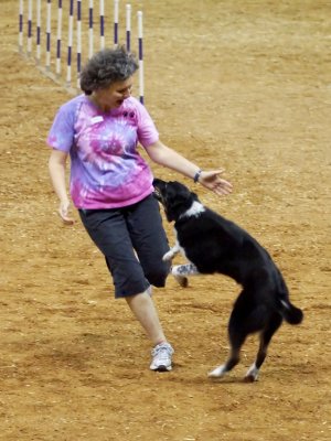 ECSCA Agility Trial, July 1, 2012 Group A