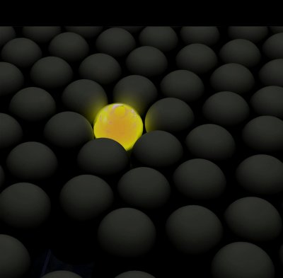 yellow1.jpg