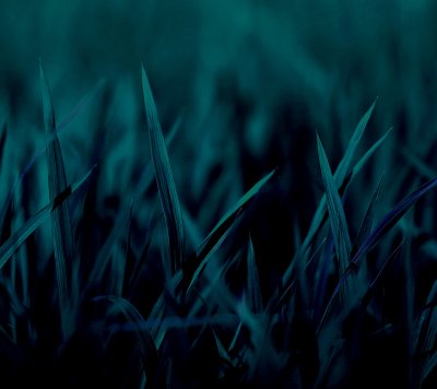 android--wallpaper-176.jpg