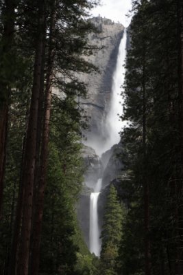 Upper, Middle, Lower Yosemite Falls - IMG_2539.JPG