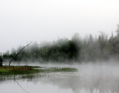 River Fog