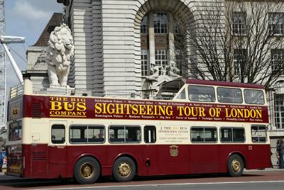 City Tour, Towering Lion