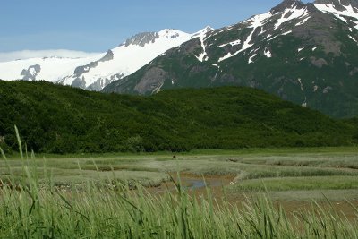 Katmai N.P.