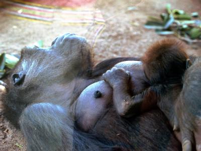 We all need a snooze
