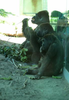 Lunch time and it's hot....