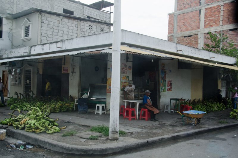 ds20110426-0005w.jpg