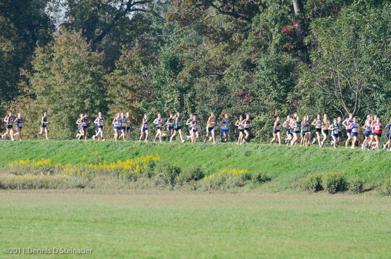 ds20111008-0010GHSI-N.jpg