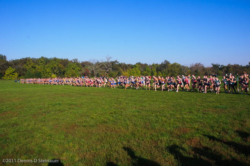 ds20111008-0512GHSI-N.jpg