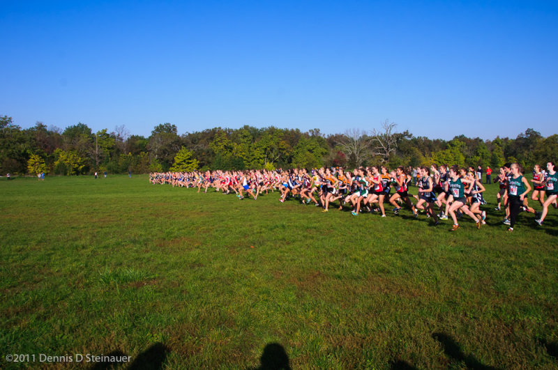 ds20111008-0516GHSI-N.jpg