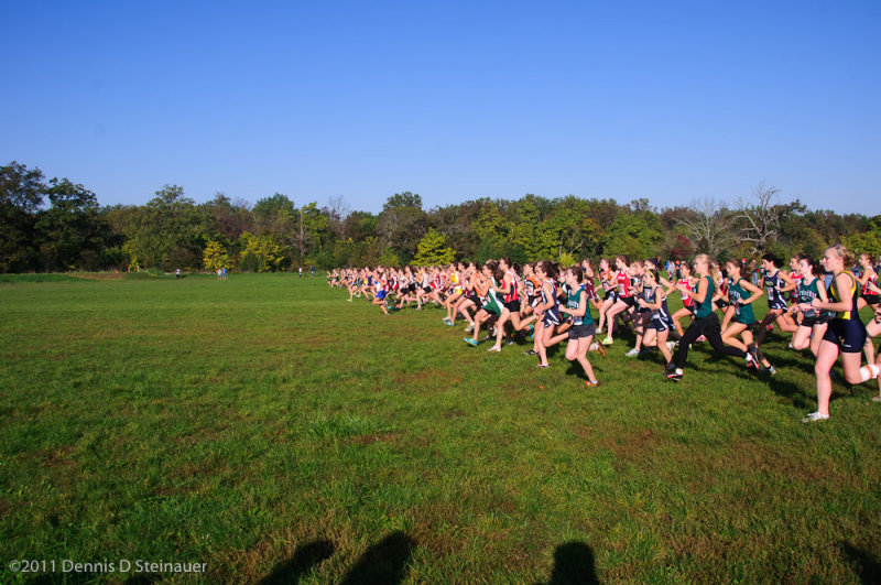 ds20111008-0518GHSI-N.jpg
