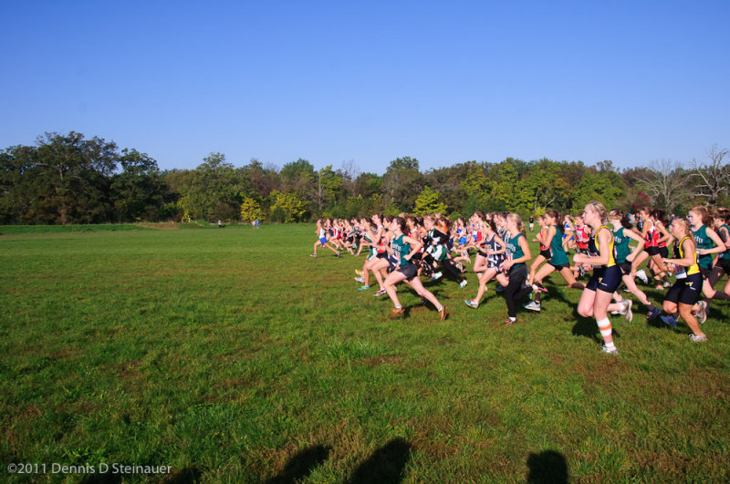 ds20111008-0519GHSI-N.jpg