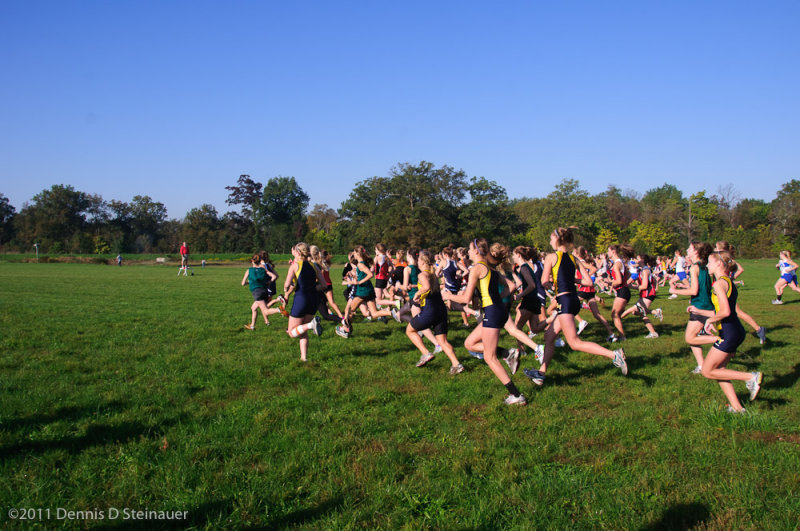 ds20111008-0523GHSI-N.jpg