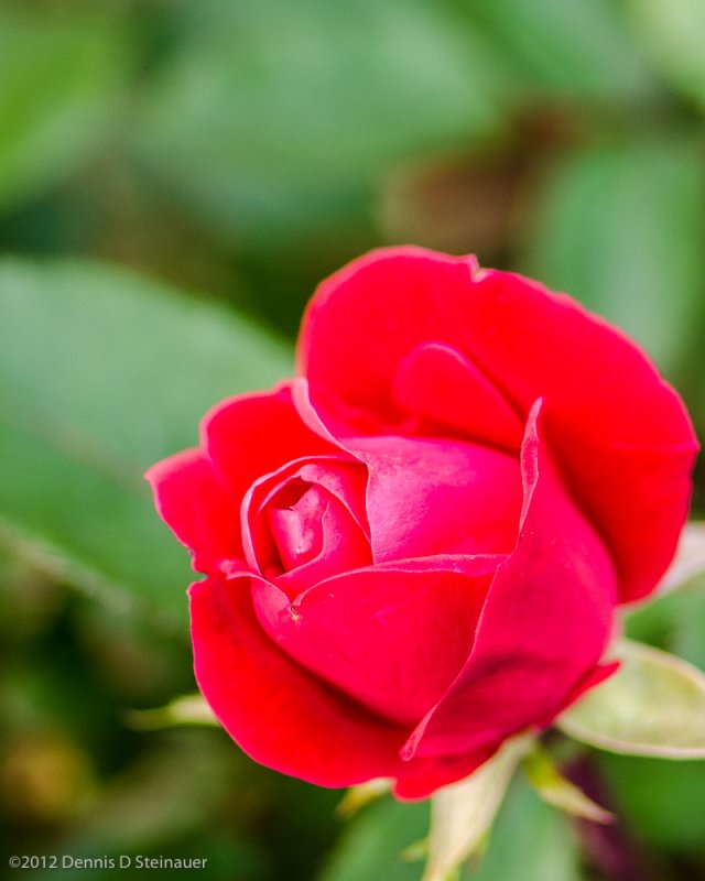 ds20120512-0084w.jpg