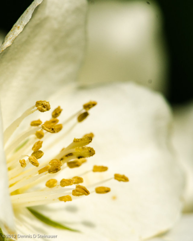 ds20120512-0148w.jpg