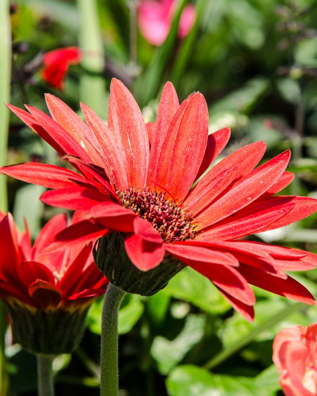ds20120518-0074w.jpg