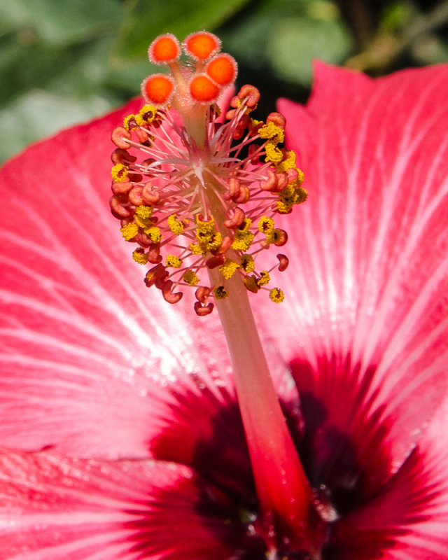 ds20120518-0081w-2.jpg