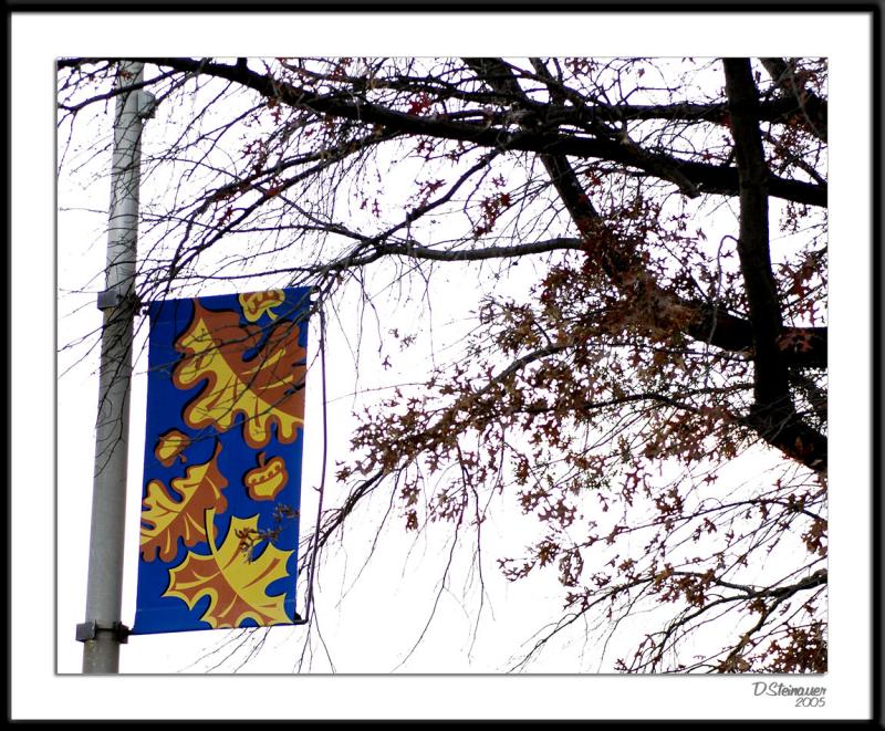 ds20051108b_0043a1wF Street Banner.jpg