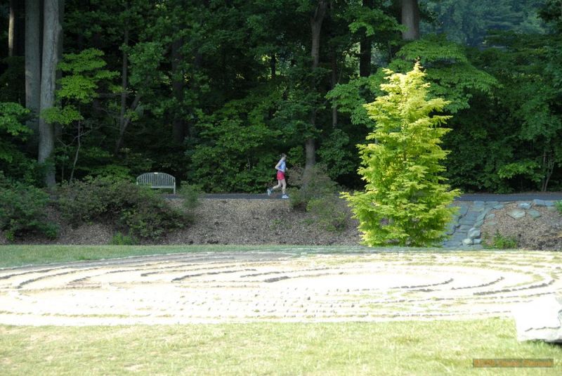 ds20060617a_0032.jpg