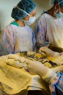 ds20110426-0170-1w.jpg