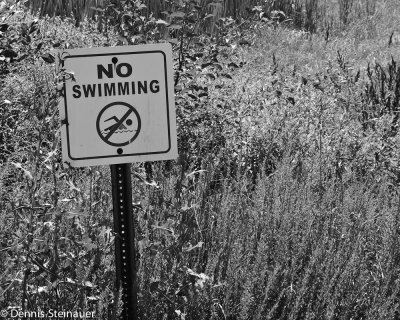 7/15/2011- No Swimming, No Commentds20110715-0004 No Swimming.jpg