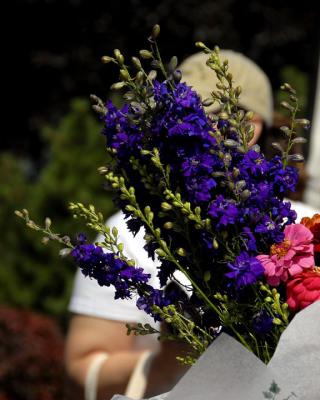 6/5/06 - Purple<br><font size=3>ds20060604_0149aw Violet Flowers.jpg</font>