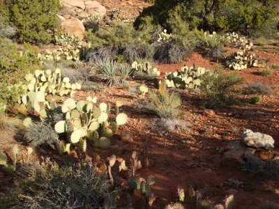 sedona_mtb_005.jpg