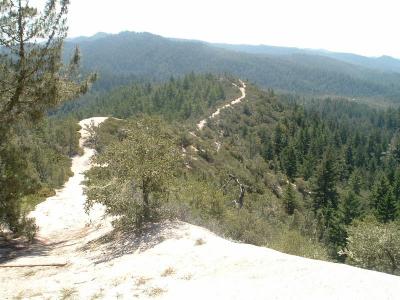 Henry Creek Trail
