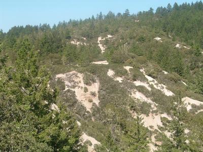 A group along ridge