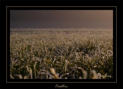 endless